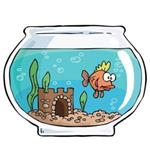 akvaario