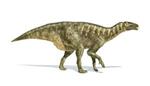 iguanodontas